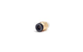 SMC 3/8" NPT - 3/8" PTC STRAIGHT